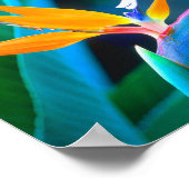 バードオブパラダイス（ハワイ） ポスター (角)