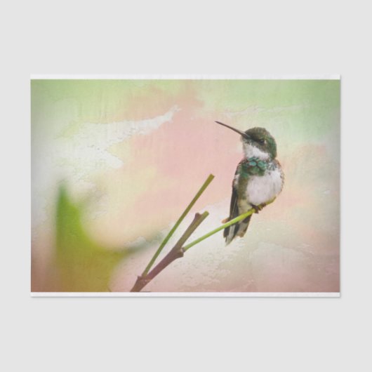 バードオンアツイーク&パステルウォーターカラー 薄葉紙 (正面)