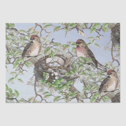 バードオンネストブルースカイの木々の葉デコページ工芸 薄葉紙 (正面)