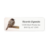 バードオンブランチ若いJunvenileブラックフォエベ ラベル (正面)