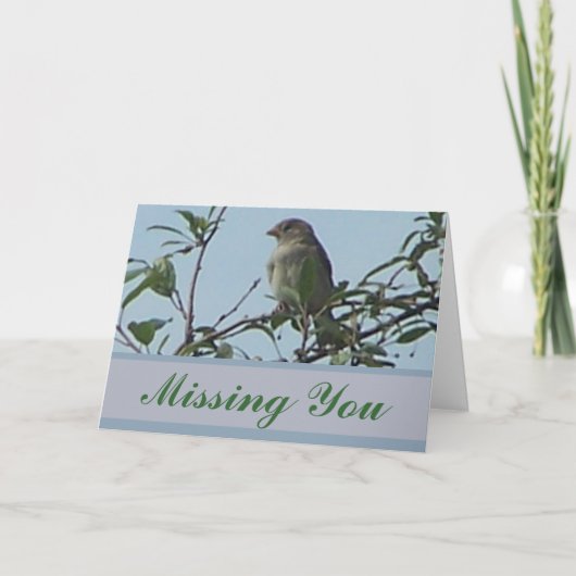 バードオンブランチ カード (正面)