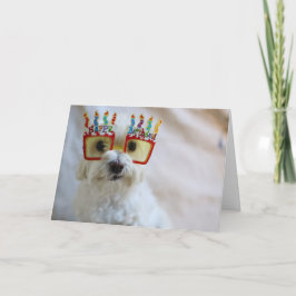 バードカード 誕生日メガネをかけた面白い犬 カード