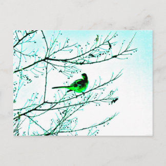 「バードグリーン」 JTGアートハガキ ポストカード