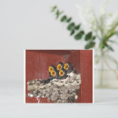 バードコーラス ポストカード (スタンド正面)