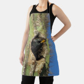 バードサグアーロサボテンのスターリング写真南西 エプロン (インサイチュ)