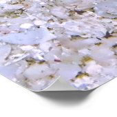 バードジャウィッシュ ポスター (角)