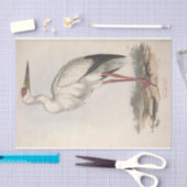 バードストルクエフェメラデクページ 薄葉紙 (クラフト)