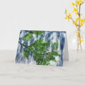 バードスネスト滝カード カード (黄色い花)