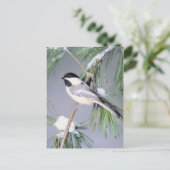 バードスノーカバー枝 ポストカード (スタンド正面)