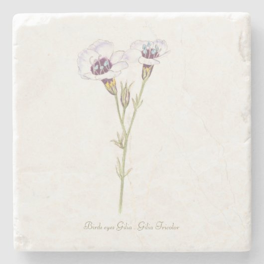 バードズアイズジリアの水色 ストーンコースター (正面)