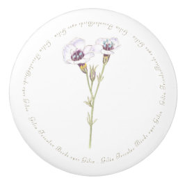 バードズアイズジリアの水色 セラミックノブ