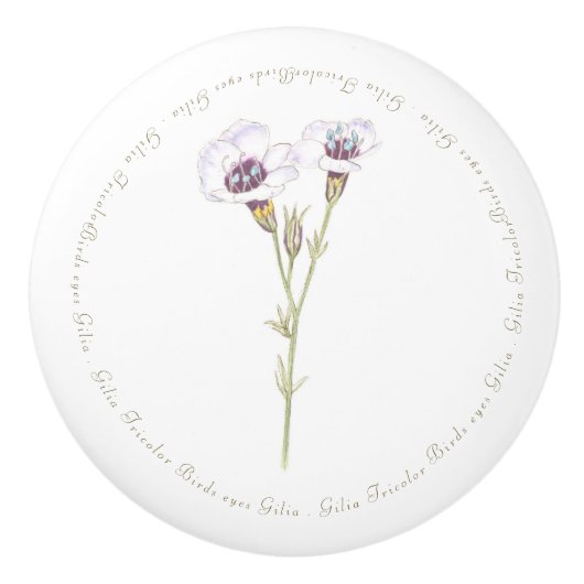 バードズアイズジリアの水色 セラミックノブ (正面)