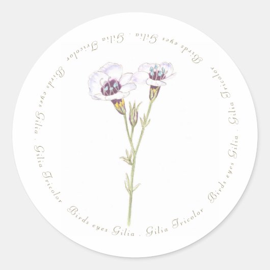 バードズアイズジリアの水色 ラウンドシール (正面)