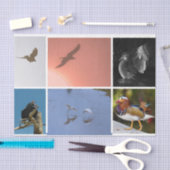 バードテーマカラス・ダック・コンドル・エグレット混合メディア 薄葉紙 (クラフト)