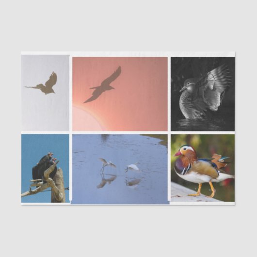 バードテーマカラス・ダック・コンドル・エグレット混合メディア 薄葉紙 (正面)