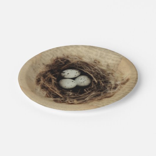 バードネストオールドヴィンテージアンティークレトロブラウンエッグス ペーパープレート (アングル)
