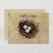 バードネストオールドヴィンテージアンティークレトロブラウンエッグ シーズンポストカード (正面/裏面)