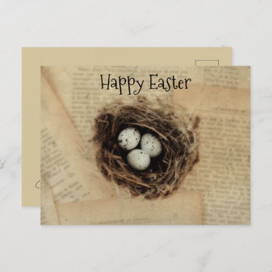 バードネストオールドヴィンテージアンティークレトロブラウンエッグ シーズンポストカード (正面/裏面)