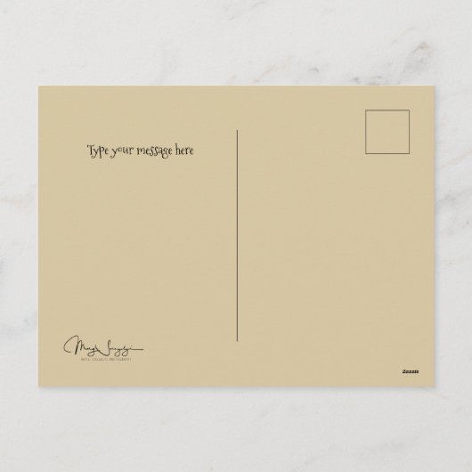 バードネストオールドヴィンテージアンティークレトロブラウンエッグ シーズンポストカード (裏面)