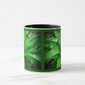 バードネストシダ マグカップ (中央)