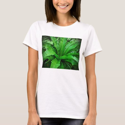 バードネストシダ Tシャツ (正面)