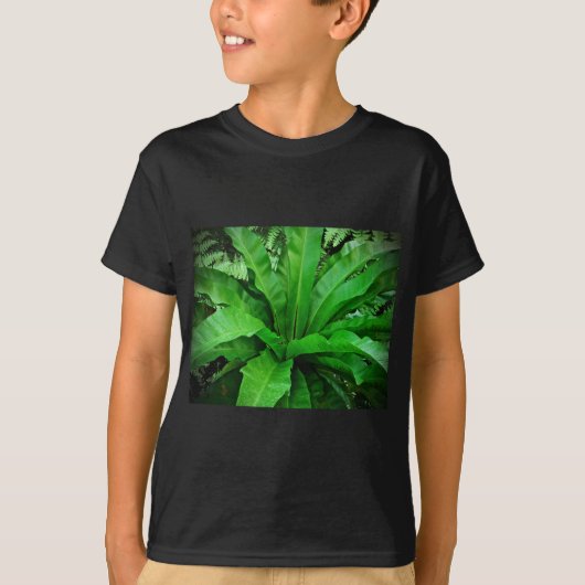 バードネストシダ Tシャツ (正面)