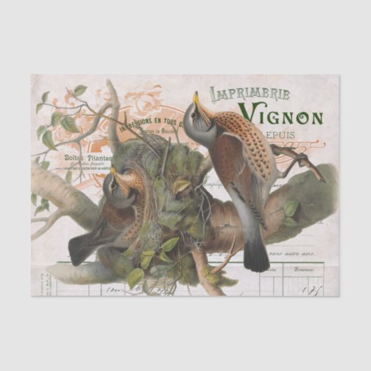 バードネストツリーヴィンテージフランスのスクリプトの分離 薄葉紙 (正面)