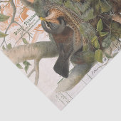 バードネストツリーヴィンテージフランスのスクリプトの分離 薄葉紙 (詳細)