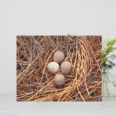 バードネストブラウンエッグオールドヴィンテージアンティークレトロ (スタンド正面)