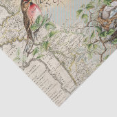 バードネストマップ音楽フランスのポストマークヴィンテージクラフト 薄葉紙 (詳細)