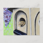 バードハウスのハガキ絵画に乗ったカエル ポストカード (正面)