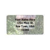 バードハウス ラベル (正面)