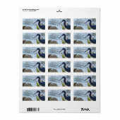 バードバイザベイリトルブルーヘロンセーフティハーバー ラベル (フルシート)