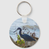 バードバイザベイリトルブルーヘロン安全港 キーホルダー (正面)