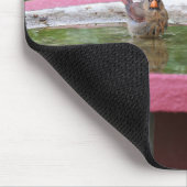 バードバスの（鳥）ショウジョウコウカンチョウ マウスパッド (コーナー)