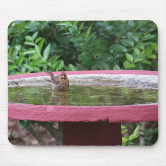 バードバスの（鳥）ショウジョウコウカンチョウ マウスパッド (正面)