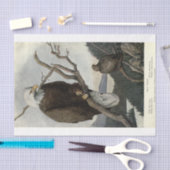 バードバルトイーグルエフエメラデクページ 薄葉紙 (クラフト)