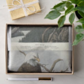 バードバルトイーグルエフエメラデクページ 薄葉紙 (ギフト)