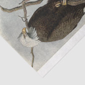 バードバルトイーグルエフエメラデクページ 薄葉紙 (詳細)