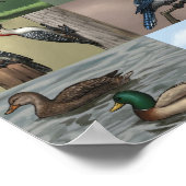 バードパノプライプリント ポスター (角)