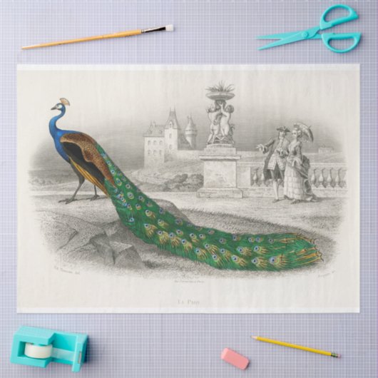 バードピーコックエフェメラデクペフランスのージ 薄葉紙 (クラフト)