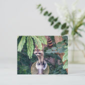 バードフィーダを襲撃するアライグマ ポストカード (スタンド正面)