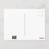 バードフィーダを襲撃するアライグマ ポストカード (裏面)