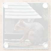 バードフィーダーでのリス ガラスコースター (裏面)