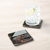 バードフィーダーでのリス コースター (右側)