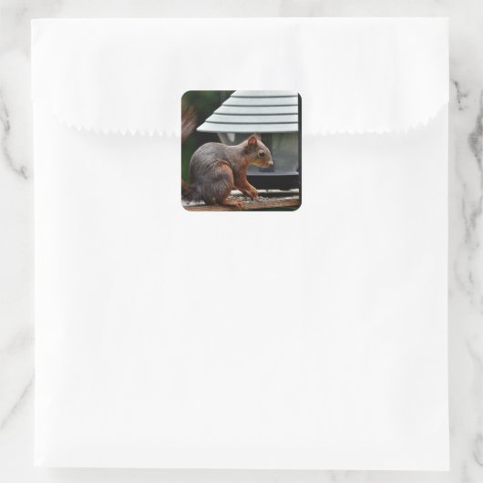 バードフィーダーでのリス スクエアシール (バッグ)