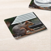 バードフィーダーでのリス スクエアペーパーコースター (アングル)