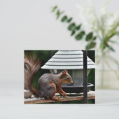 バードフィーダーでのリス ポストカード (スタンド正面)