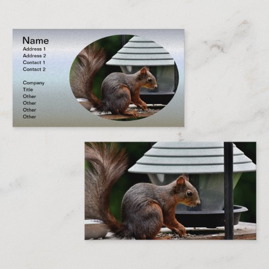 バードフィーダーでのリス 名刺 (正面/裏面)