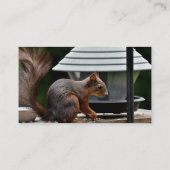 バードフィーダーでのリス 名刺 (裏面)